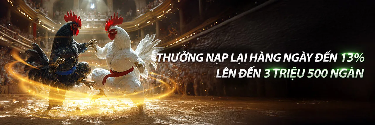 Các chương trình khuyến mãi mới nhất của Rongvang68
